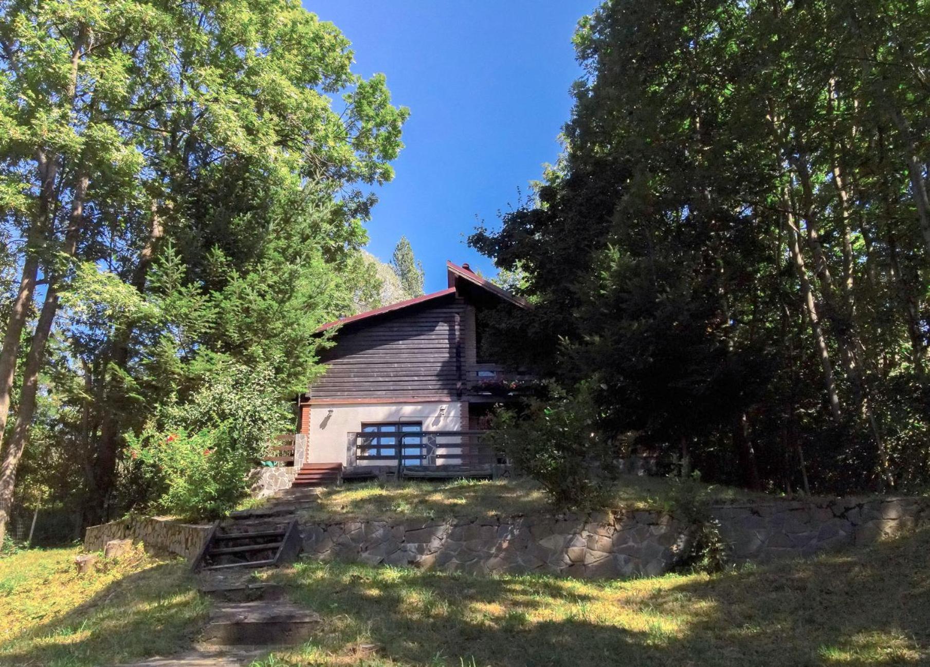 Mountain Family Chalet On Prahova Valley Comarnic Exterior photo