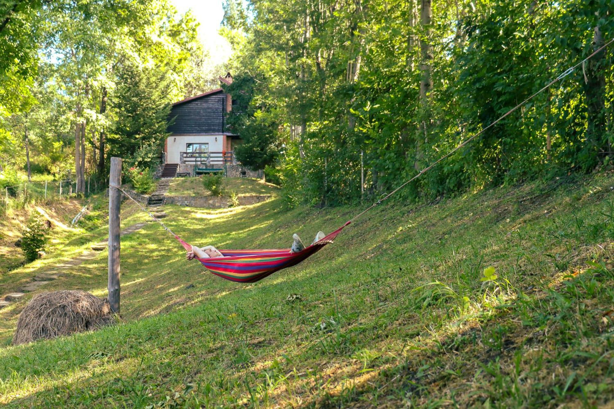 Mountain Family Chalet On Prahova Valley Comarnic Exterior photo